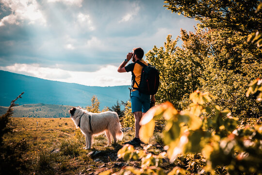 handsome man and white dog trekking in nature using binoculars slow travel
