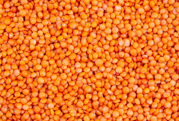 Red lentils. lentil texture, lentil pattern, background, macro.