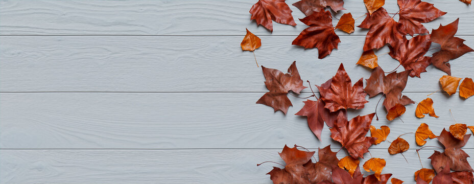 Top down view of White wood Surface with leaves.