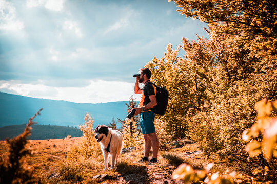 handsome man and white dog trekking in nature using binoculars slow travel