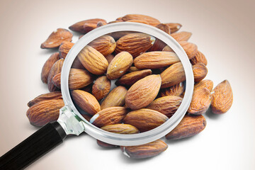 Quality control about almonds - HACCP (Hazard Analyses and Critical Control Points) concept with...