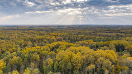 Fototapeta premium Aerial view to the vibrant autumn colored wilderness woodland with the clouded blue sky and radial sun rays