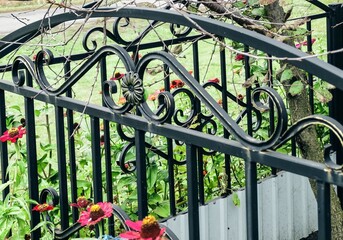 Decorative wrought-iron fence in front garden with autumn flower