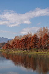 autumn landscape with lake
