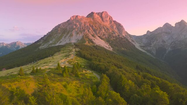 Fly over pine forest in Komovi mountains at sunset time, Montenegro. Aerial drone view.
