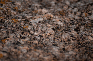 Piedra