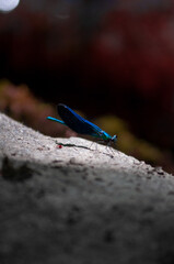 Pablo P&eacute;rez L&oacute;pez