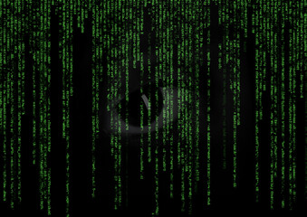 Big Data - Big Sister