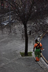 Cutting plants in the street