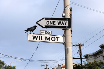 A street sign with a black crow raven bird and a one way sign in San Francisco, California. Sign...