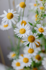 Fototapeta premium a bouquet of daisies in a glass vase on the table. chamomile flowers in the bride's bouquet or as a gift to a woman. a bouquet of daisies for a birthday gift or for the decoration of an event or