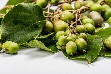 Ripe Actinidia arguta or kiwi isolated on white background