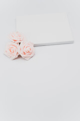 pink rose flower heads and blank painting canvas on a white background