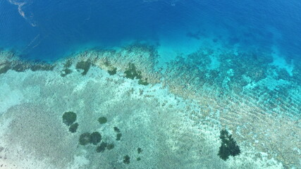 Arial drone view of stunning coral reef with crystal clear on the coral triangle in Timor Leste, South East Asia