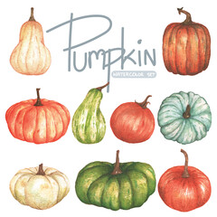 Watercolor painted ilustration pumpkin set on white background