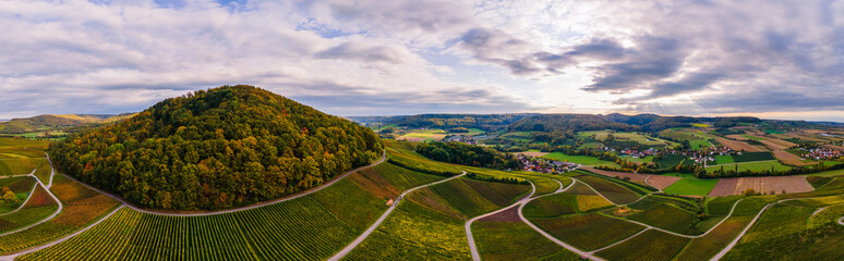 Weinberg im Herbst weinlese traubenlese ernte