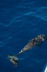 Pablo P&eacute;rez L&oacute;pez