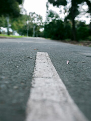 Bike and jogging lane in a park in Adelaide, South Australia