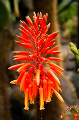 Pablo P&eacute;rez L&oacute;pez