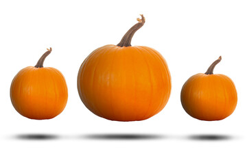 Three pumpkins isolated on white