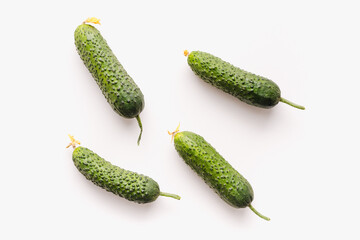 Green cucumbers on a white background. Pimpled cucumbers. 
