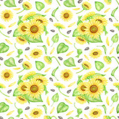 Fototapeta na wymiar Watercolor sunflowers with oil seeds seamless pattern. Hand painted bunch of yellow flowers and leaves illustration. Bright floral repeated background isolated on white for package, wrapping, fabrics