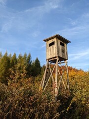 Wooden hunter's tower in the forest