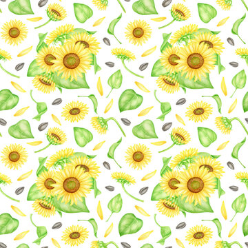 Watercolor sunflowers with oil seeds seamless pattern. Hand painted bunch of yellow flowers and leaves illustration. Bright floral repeated background isolated on white for package, wrapping, fabrics