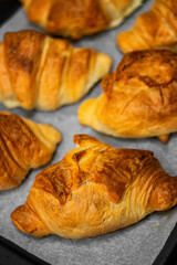 Homemade freshly baked delicious croissants lie on a baking sheet