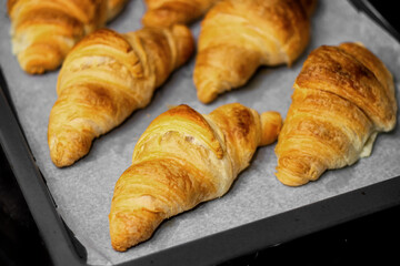 Homemade freshly baked delicious croissants lie on a baking sheet