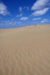 鳥取砂丘。鳥取、日本。10月中旬。