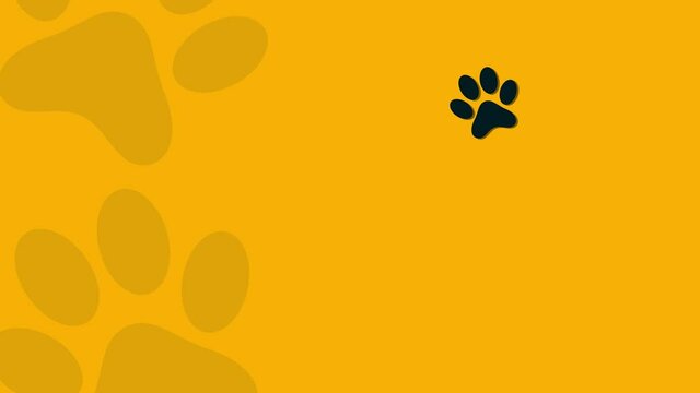 paw print loop animation on a yellow background,pet walk,dog and cat footprint,cute pet concept blank template