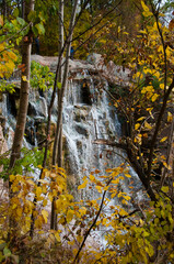 forest with a waterfall. autumn nature with nobody