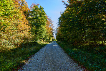 Salto de Nervión y Orduña