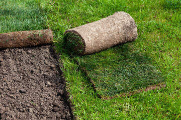 Restoration of a lawn covering with the help of a rolled lawn. Real grass in peat rolls. Quick way...