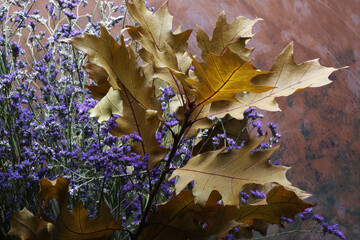 Composizioni di foglie e fiori autunnali fotografate su un fondo spatolato in varie tonalità di colore
