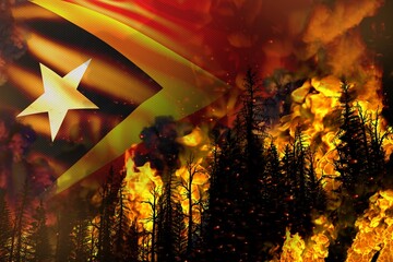 Big forest fire fight concept, natural disaster - infernal fire in the trees on Timor flag background - 3D illustration of nature