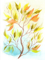 Autumn aspen branch. Watercolor hand drawn post card.
