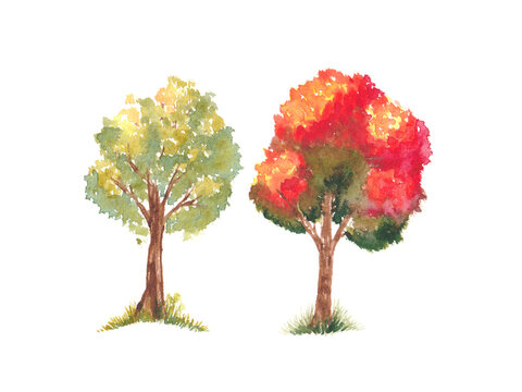 Hand painted watercolor illustration. Autumn trees.