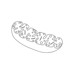 Mitochondria icon drawn by one line. Cell component sketch. Continuous line drawing organelle. Vector illustration in minimal style.