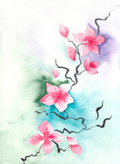 Sakura. Hand drawn watercolor postcard. Cherry blossom. 