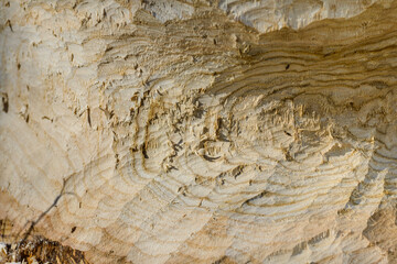 Tree trunk with marks of beaver teeth. Decorative background texture of a tree trunk without bark. Structure, background, pattern, wallpaper, material, natural raw material.