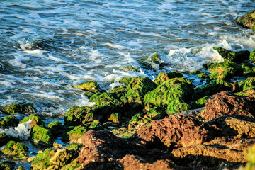Waves crashing rocks on the shore