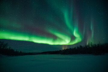 nordlicht aurora borealis landschaft mit wald