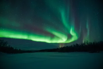  northern lights aurora borealis landscape with forest © Dimitri