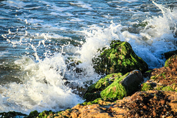 Fototapeta premium Waves crashing rocks on the shore