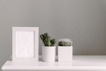 plants in white flowerpot with empty frame for text, home interior decor