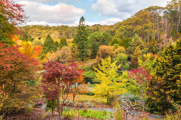 Mount Lofty autumn scene with colourful trees, South Australia