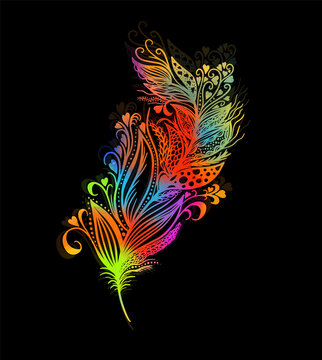 Multicolored beautiful bird feather.. Vector illustration