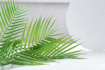 Green palm branch among the light interior. Place for text